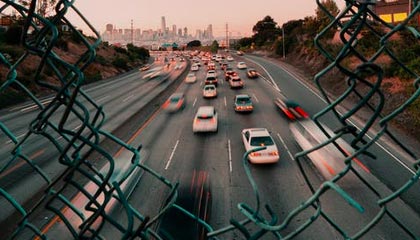 广州对比佛山,哪座城市更懂得品茶?